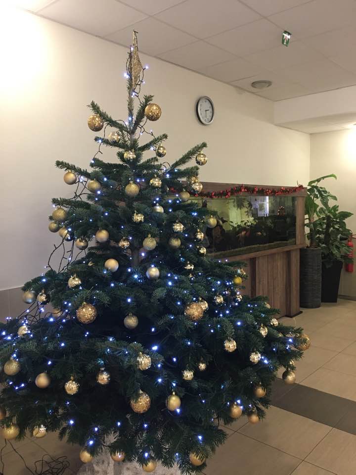 Le traditionnel Arbre de Noël aux Feuillades, centre de rééducation à Aix en Provence